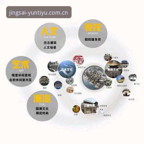 云体育官方入口对比 云体育官方入口对比详解:从登录到竞猜的创新体验