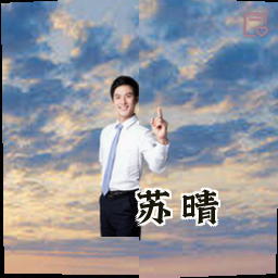 苏晴